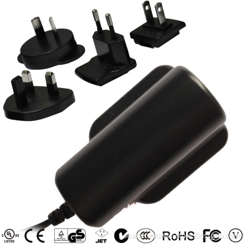 6W Series AC Adapter with Exchangeable AC Plugs